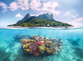 Παζλ 500 Ύφαλος (12001798)