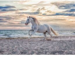 Ravensburger Παζλ 500 Λευκό Άλογο (16586)