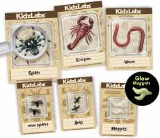 4M Εργαστήριο Ανασκαφής Φωσφορούχων Ζωυφίων (4M0648)