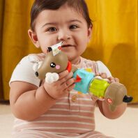 Fisher Price Pet Pals Σκυλάκι Δραστηριοτήτων (HTW91)