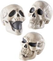 WM Νεκροκεφαλή 12cm-3 Σχέδια (7873S)