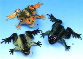 WC Βάτραχος 5"-3 Σχέδια (2504-D802)