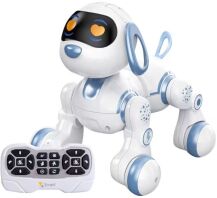 BW Robo Smart Dog B/O With Sound & Light (6601)