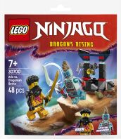 LEGO® Ninjago Arin vs. Dragonian Battle Mini Builds (30700)
