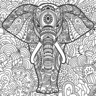 Βιβλίο Ζωγραφικής Antistress 1-Άγρια Ζωή (1953)