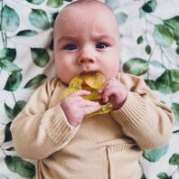 Akuku Μασητικό Ψυγείου Καμηλοπάρδαλη (A0358)