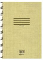 Salko Τετράδιο Colorline Σπιράλ 21x29 1 Θέμα 60 Σελίδες-4 Σχέδια-1 Τμχ (7856)