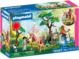 Playmobil Νεραϊδοεκδρομή Στη Μαγεμένη Λίμνη (72067)