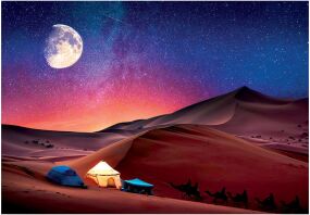 Παζλ 500 Peace Starry Night Dream (1220-35527)