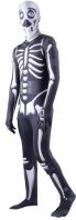 Skeletor No 10 (33310)