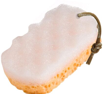 Σφουγγάρια