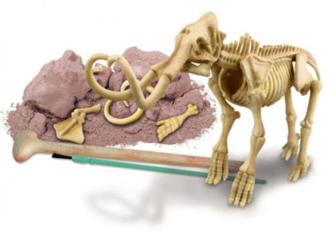 4M Μαμούθ-Ανασκαφή (03236/4M0021) (2)