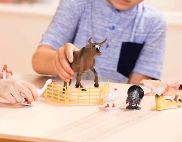 Terra Σετ Country World (AN2802Z) (3)