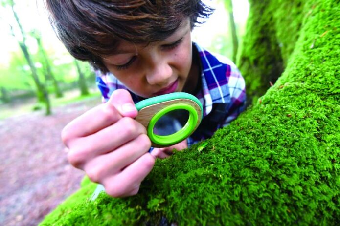 Hape Early Explorer Ξύλινο Nature Detective Set (E5570A) (4)