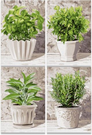 Noris Παζλ 800 Quattro Herbs (606038020) (1)