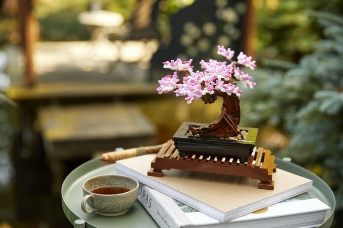 LEGO Icons Botanicals Bonsai Tree (10281) (3)