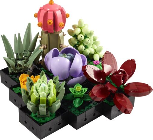 LEGO® Botanicals Succulents (10309) (1)