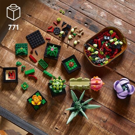 LEGO® Botanicals Succulents (10309) (2)