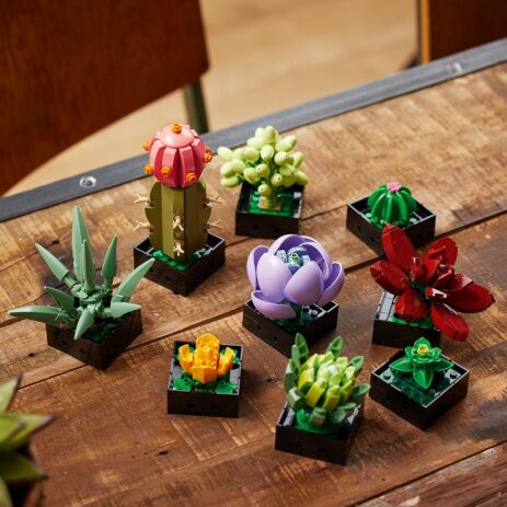LEGO® Botanicals Succulents (10309) (3)