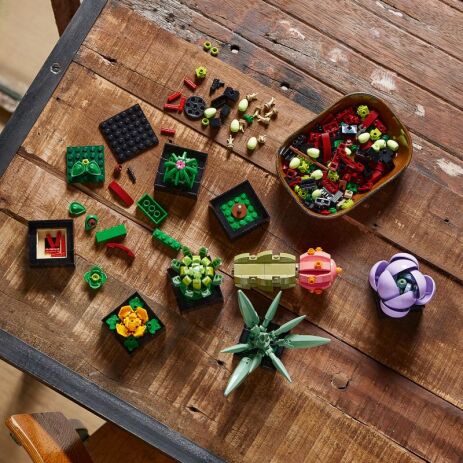 LEGO® Botanicals Succulents (10309) (5)