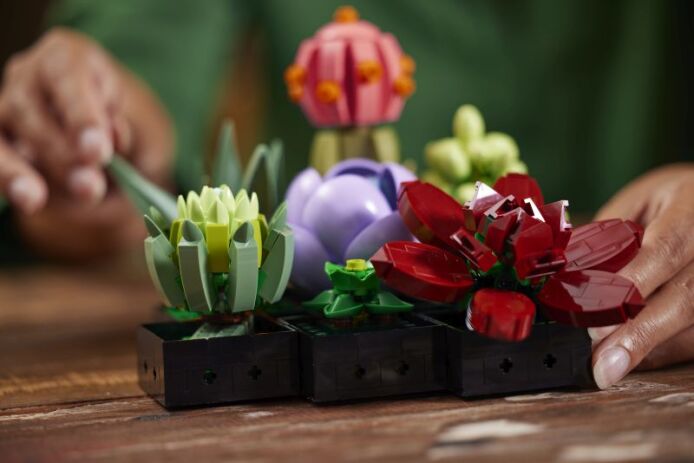 LEGO® Botanicals Succulents (10309) (6)
