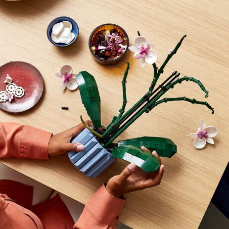 LEGO Botanicals Orchid (10311) (5)