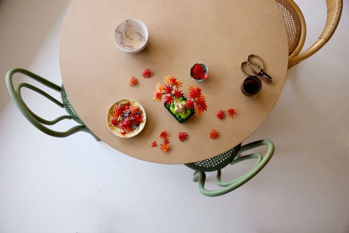 LEGO Botanical Japanese Red Maple Bonsai Tree (10348) (2)