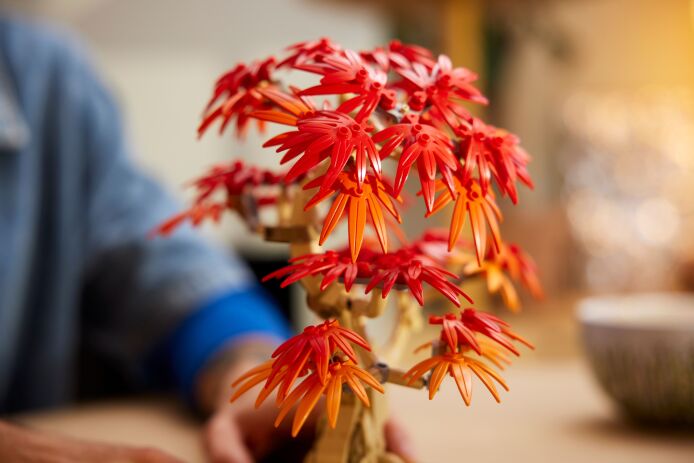 LEGO Botanical Japanese Red Maple Bonsai Tree (10348) (5)