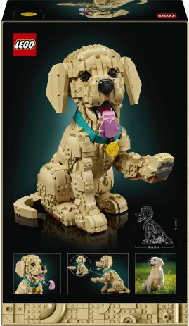 LEGO® Icons Golden Retriever Puppy (11384) (8)