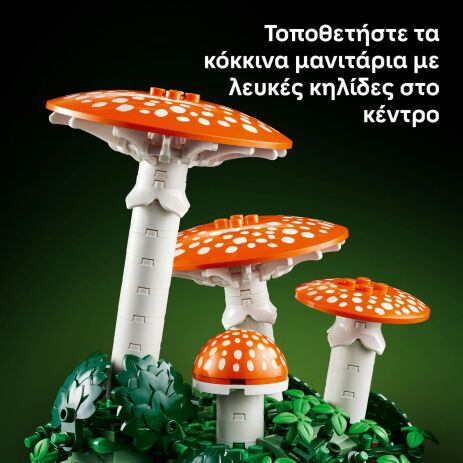 LEGO® Botanicals Woodland Mushrooms (11505) (4)