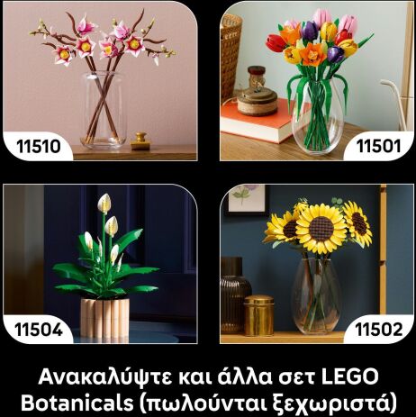 LEGO® Botanicals Woodland Mushrooms (11505) (7)