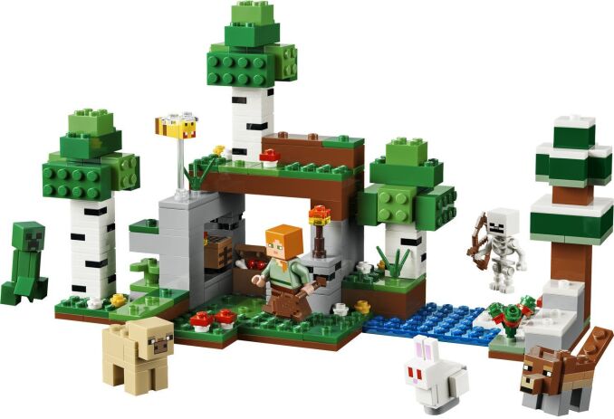 LEGO® Minecraft First Night Adventure (21593) (1)