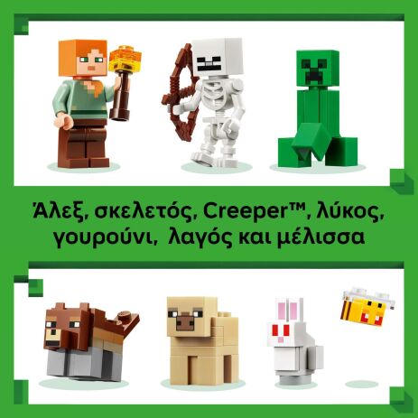 LEGO® Minecraft First Night Adventure (21593) (5)
