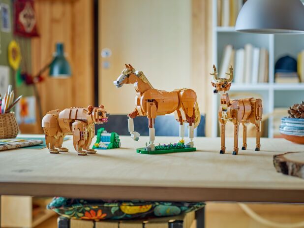 LEGO Creator 3in1 Beautiful Horse (31166) (8)