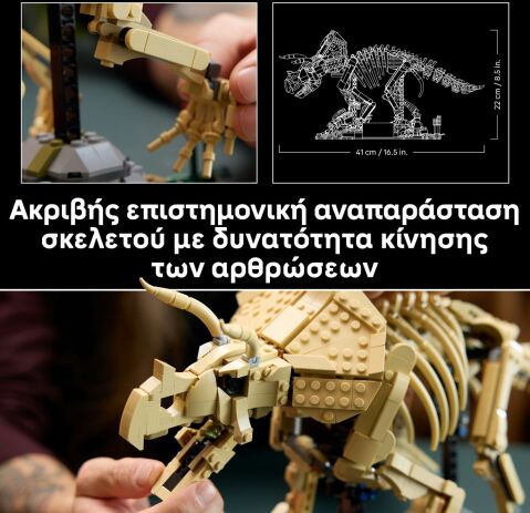 LEGO® Jurassic World Dinosaur Fossils: Triceratops (77985) (4)