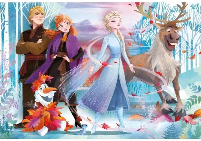 Παζλ 24 Maxi Frozen 2 (1200-28513) (1)