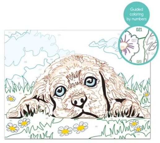 Paint & Frame Loving Puppy (1038-41012) (2)