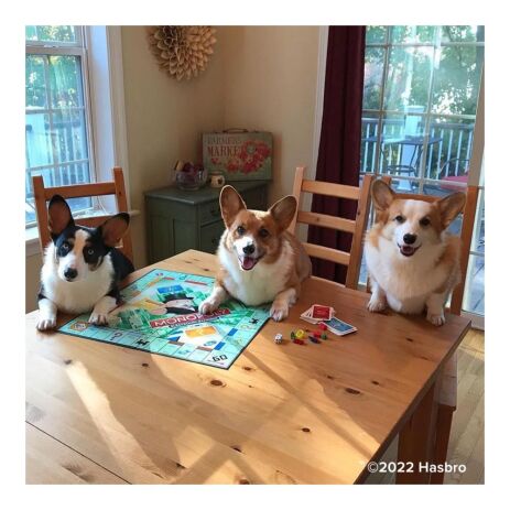 Monopoly Standard (C1009) (2)