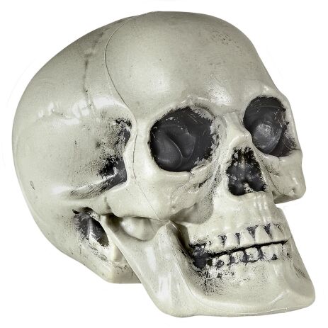WM Νεκροκεφαλή PVC 21cm (01379) (0)