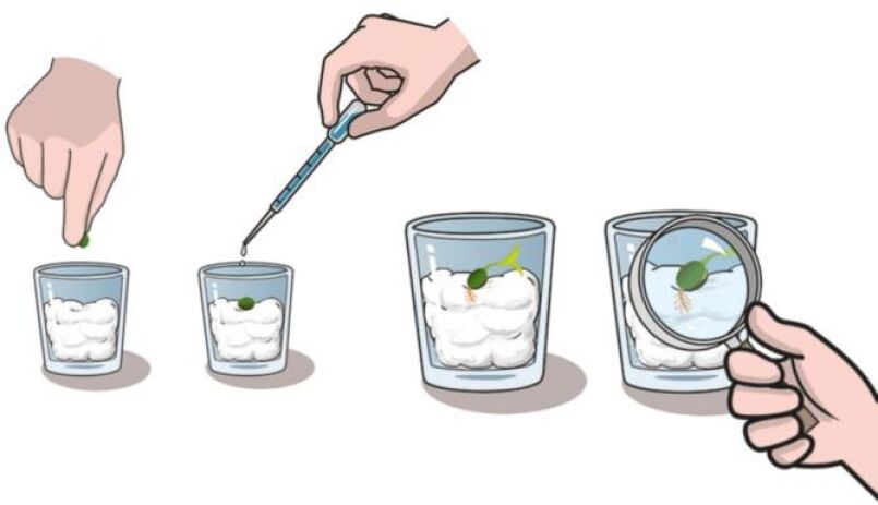 Μαθαίνω & Δημιουργώ Ο Κήπος Μου (1026-63408) (2)