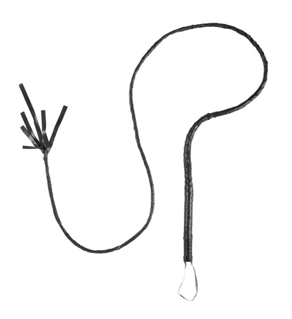 WM Μαστίγιο 180cm (05383) (0)