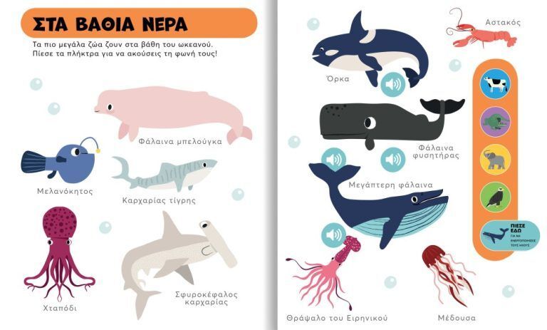 Τα Πρώτα Μου Ζωάκια Με Ήχους (721401) (1)