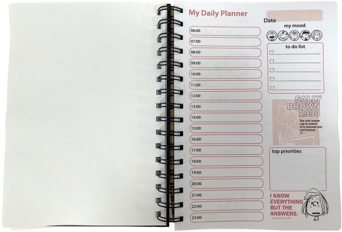 Peanuts Ημερολόγιο-Planner (365-10907) (3)