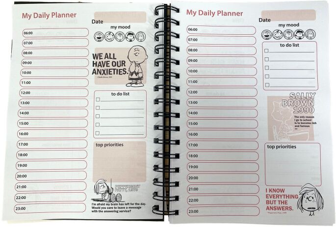 Peanuts Ημερολόγιο-Planner (365-10907) (5)