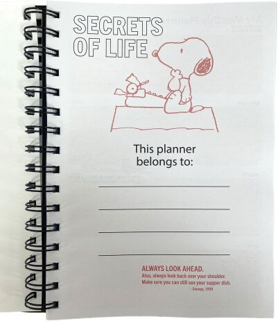 Peanuts Ημερολόγιο-Planner (365-10907) (6)