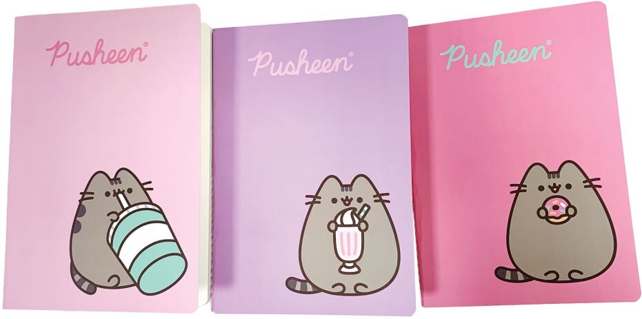 Pusheen Candy Shop Σημειωματάριο Α5 3Τμχ. (361-02013) (1)