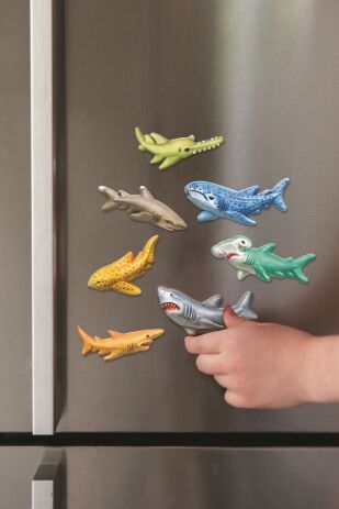 4M Καρχαρίες Μαγνητάκια/Καρφίτσα-Κατασκευή (4M0604) (3)