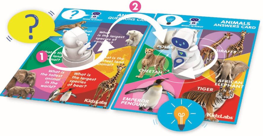 4M Έξυπνο Ρομπότ IQ (4M0658) (3)