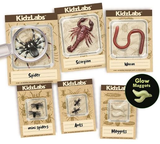 4M Ανασκαφή Ζωύφια Του Πλανήτη Μας (4M0573-03397) (2)