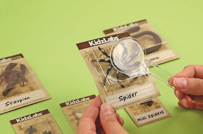 4M Ανασκαφή Ζωύφια Του Πλανήτη Μας (4M0573-03397) (3)